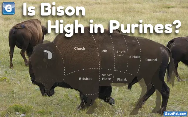 Is Bison High in Purines?