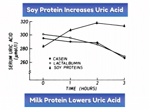 Milk Protein, Soy Protein & Uric Acid