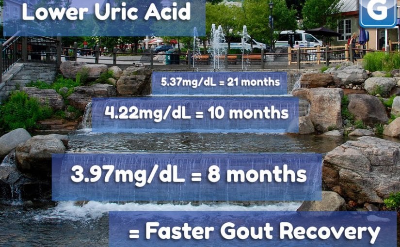 Lower Uric Acid = Faster Gout Recovery